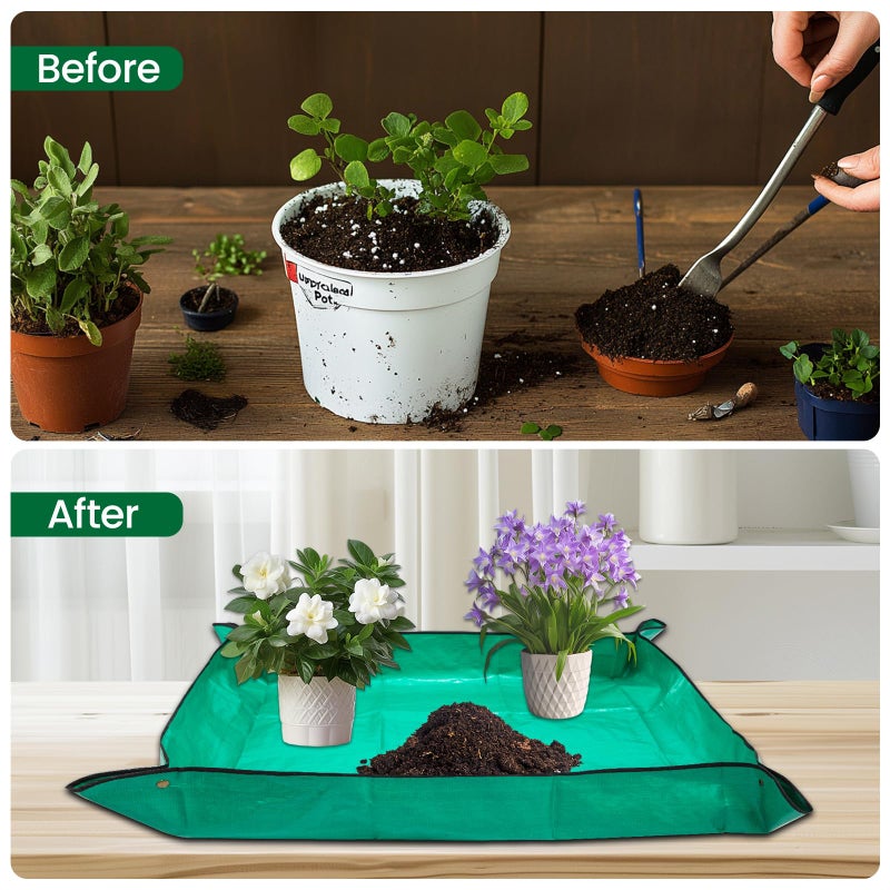 GROWNEER Bonsai Pots 3 Packs 11 Inch Bonsai Tree Training Pot with Humidity Drainage Trays & Repotting Mat Rectangle Planter Plants Starter Kit Growing for Garden Yard Office Indoor Outdoor - Image 5